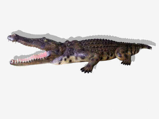 Riesiges Deko Krokodil